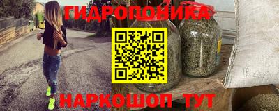 шишки Заводоуковск
