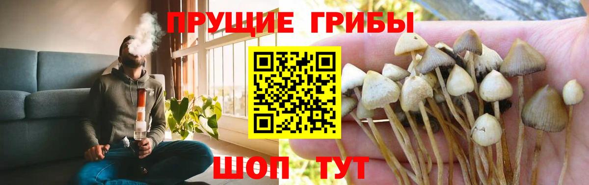 Еманжелинск  Псилоцибиновые грибы GOLDEN TEACHER  хочу   Псилоцибиновые грибы Cubensis  Вход с VPN 